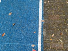 -苏州河梦清园环保主题公园