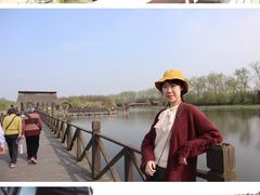 -溱湖国家湿地公园