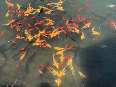 -沕沕水生态风景区