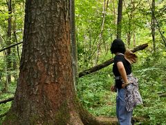 -五营红松林海景区