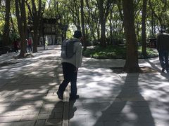 -上海佘山国家森林公园西佘山园