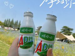 -上海滨江森林公园