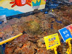 -79号渔船海鲜饭店(龙岗店)