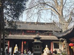 -灵谷景区