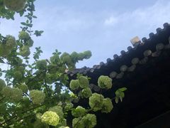 -常熟方塔园