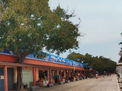 -南沙十九涌渔人码头-南门