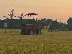 -嘉北郊野公园