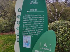 -尚贤河湿地
