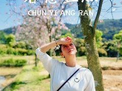 -艾米稻香小镇
