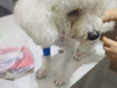 -派特宠物医院(圆融广场店)