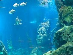 -暹罗海洋世界