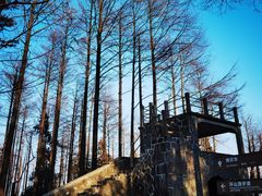 -莫干山风景区