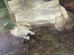 -上海大自然野生昆虫馆(东方明珠·爬宠昆虫探索中心)