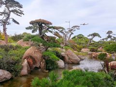 -罗红摄影艺术馆