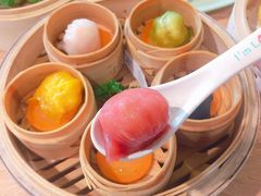 -一笼小幸运
