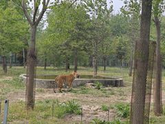 -秦皇岛野生动物园