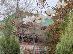 -北平图书馆旧址