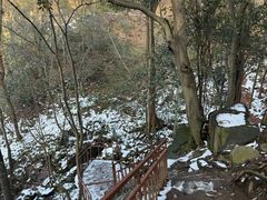 -波尔登森林公园