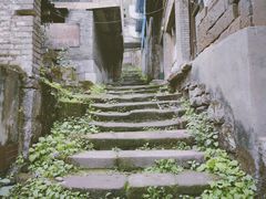 -翠屏公园