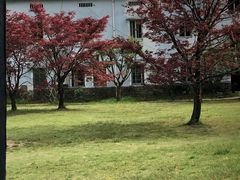 -四明山国家森林公园