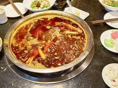 -花鲢鱼头火锅(春城东路店)