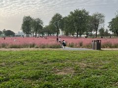 -汉长安城未央宫国家考古遗址公园