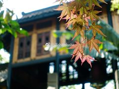 -鱼桥巷·美学川菜