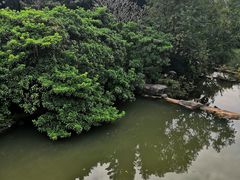 -云溪植物园