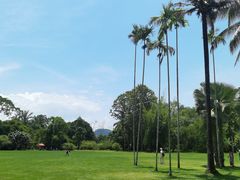 -中国科学院西双版纳热带植物园