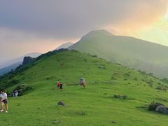 -大姆山草场