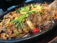 -老板恋上鱼(恒隆广场店)