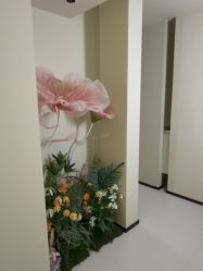 -奈弗里·疗愈SPA·美肤中心