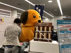 -中部国际机场