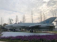 -成飞公园