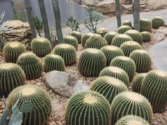 -鑫花溪牛肉米粉(天山店)