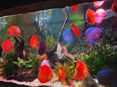 -上海海洋水族馆