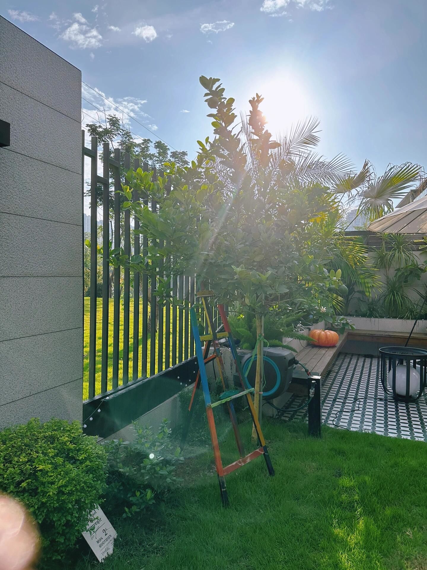 阳光明媚,来院子里