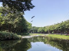 -广州长隆飞鸟乐园
