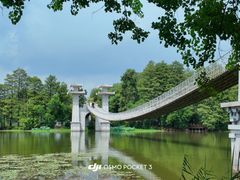 -东湖落雁景区