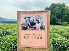 -中国茶叶博物馆(双峰馆区)