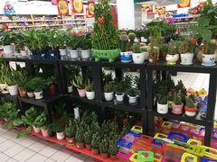 -大润发(张江店)
