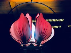 -鱼桥巷·美学川菜