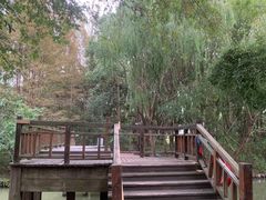 -同里国家湿地公园