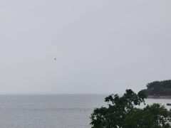 -深圳湾公园(南山区)