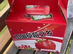 -小鱼草莓采摘园农家乐·小鱼餐厅