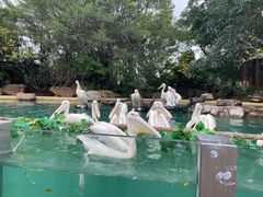 -珠海长隆海洋王国