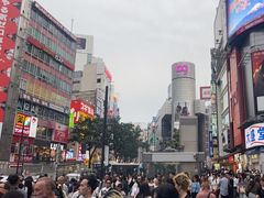 -涩谷区