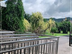-中国科学院西双版纳热带植物园