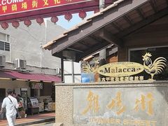 -马六甲鸡场街