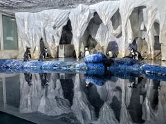 -太平洋海底世界